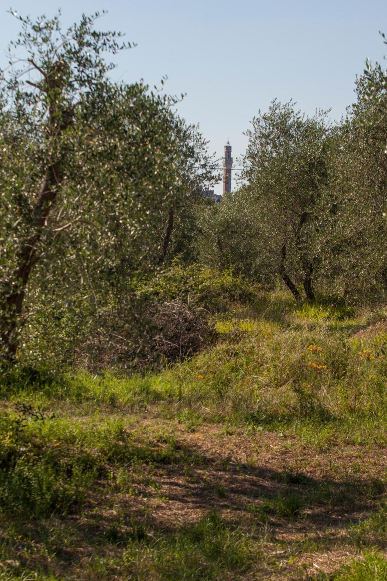 Podere Piazza Casa Dell'Arcivescovo Siena Exterior foto